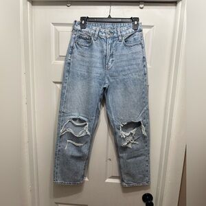 American Eagle Mom Straight Jeans